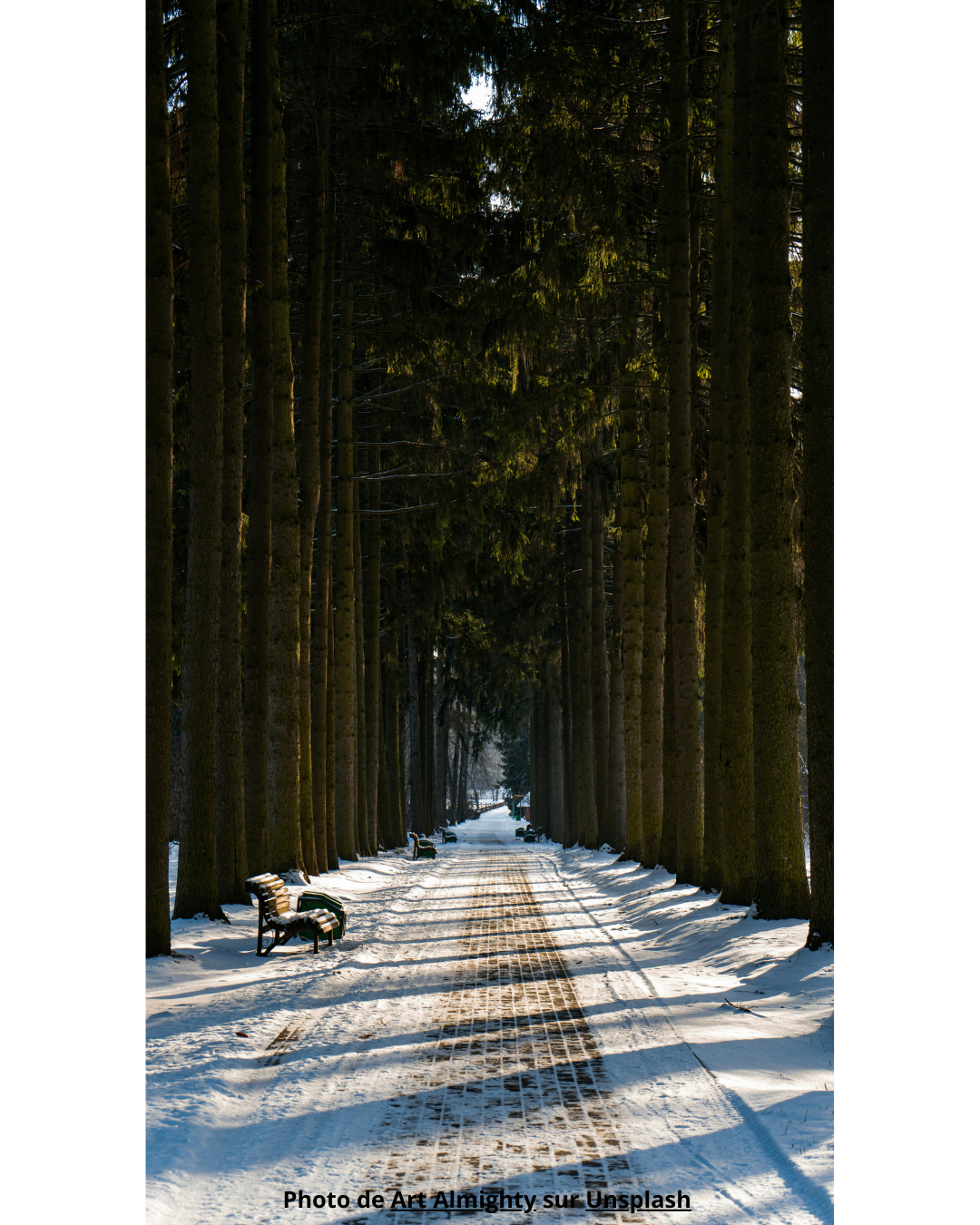 Accompagnement spécialisé de la dépression à Uzès – hypnose, PNL et approche psycho-corporelle au cabinet L’Essence de l’Être