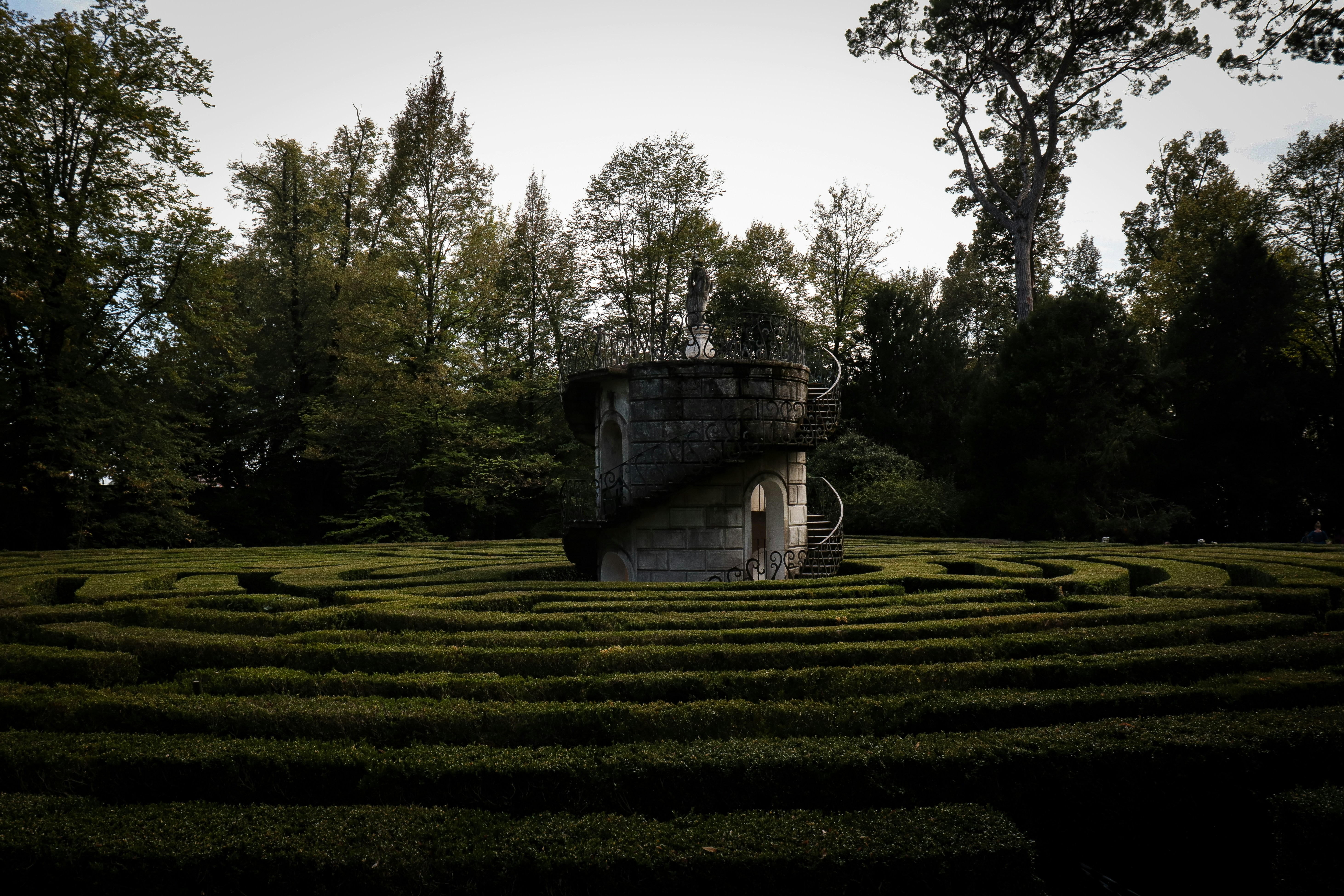 Labyrinthe végétal symbolisant le cheminement intérieur et l’auto-observance – photo Riccardo Farinazzo Unsplash